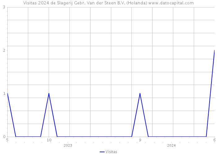 Visitas 2024 de Slagerij Gebr. Van der Steen B.V. (Holanda) 