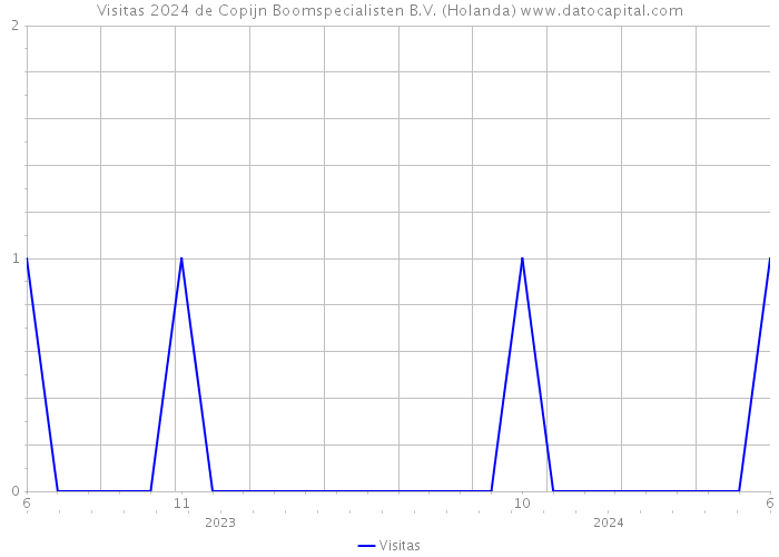 Visitas 2024 de Copijn Boomspecialisten B.V. (Holanda) 