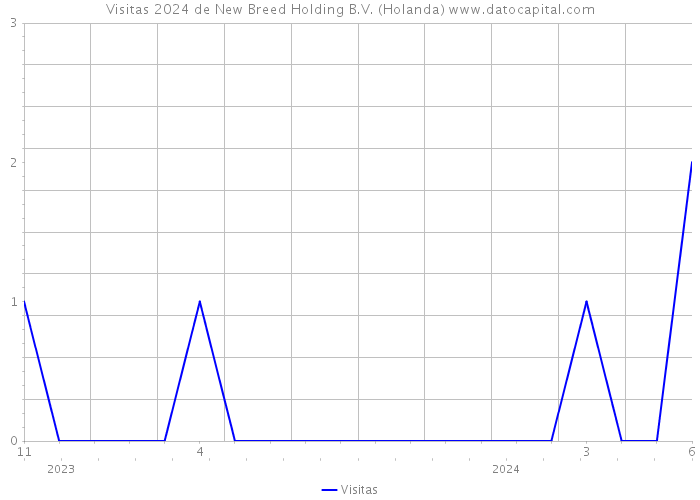 Visitas 2024 de New Breed Holding B.V. (Holanda) 