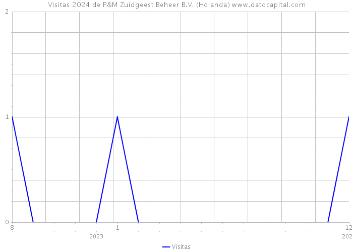 Visitas 2024 de P&M Zuidgeest Beheer B.V. (Holanda) 