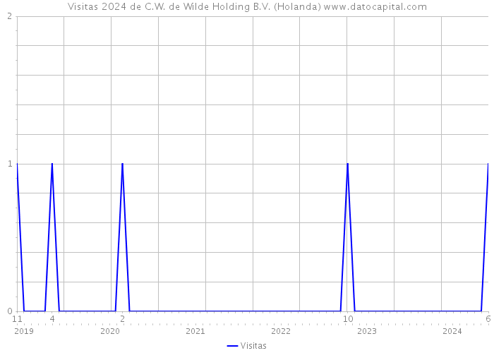 Visitas 2024 de C.W. de Wilde Holding B.V. (Holanda) 