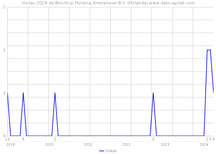 Visitas 2024 de Bisschop Holding Amstelveen B.V. (Holanda) 