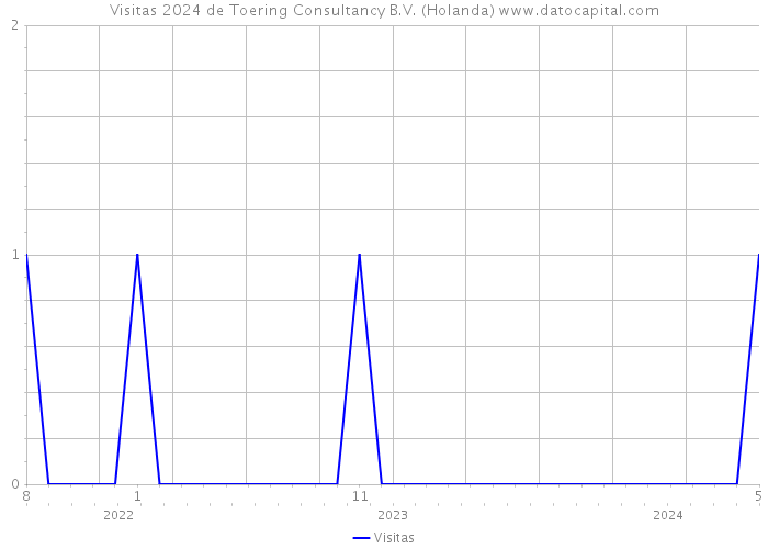 Visitas 2024 de Toering Consultancy B.V. (Holanda) 