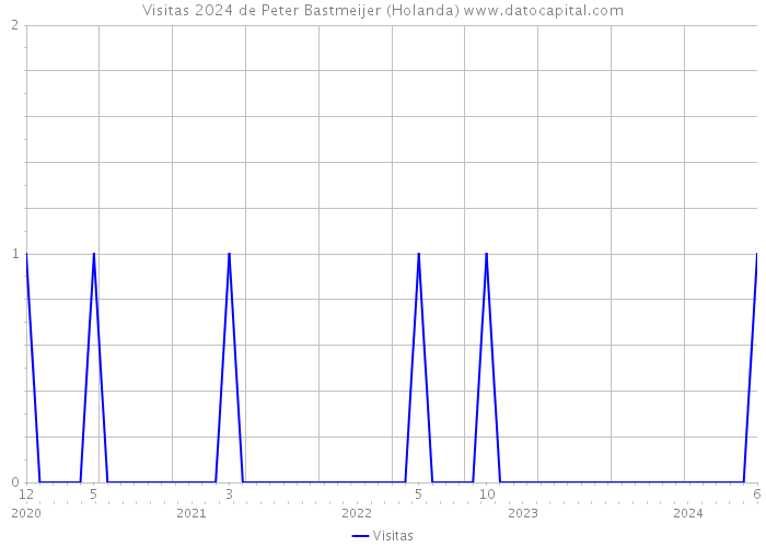 Visitas 2024 de Peter Bastmeijer (Holanda) 