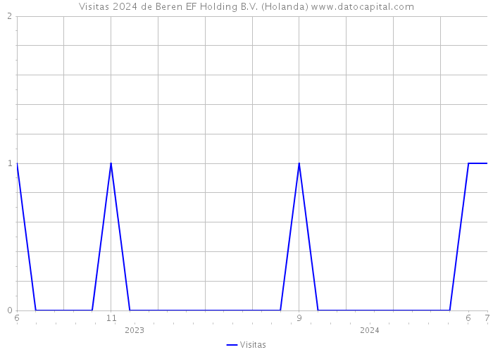 Visitas 2024 de Beren EF Holding B.V. (Holanda) 