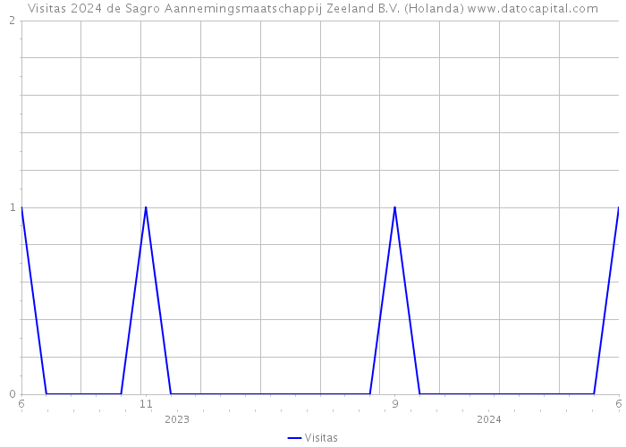 Visitas 2024 de Sagro Aannemingsmaatschappij Zeeland B.V. (Holanda) 