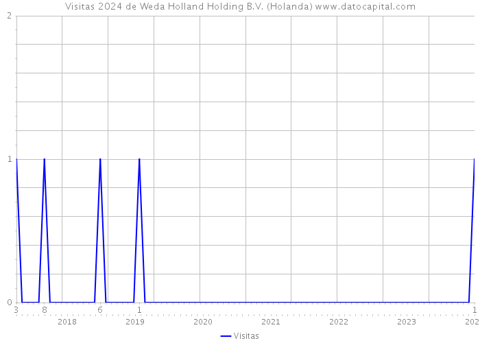 Visitas 2024 de Weda Holland Holding B.V. (Holanda) 