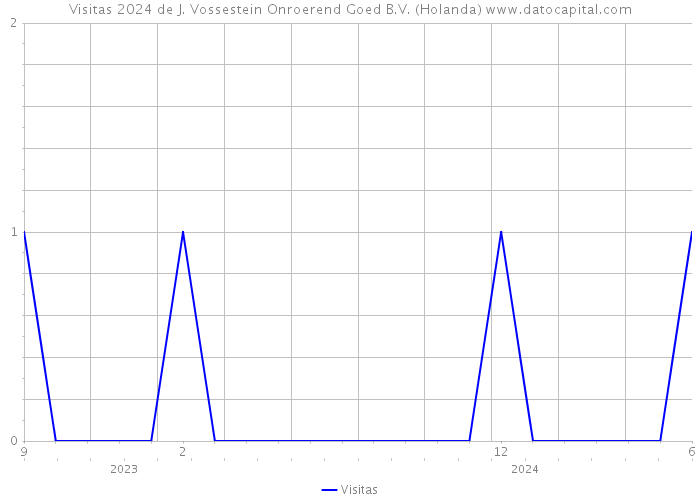 Visitas 2024 de J. Vossestein Onroerend Goed B.V. (Holanda) 