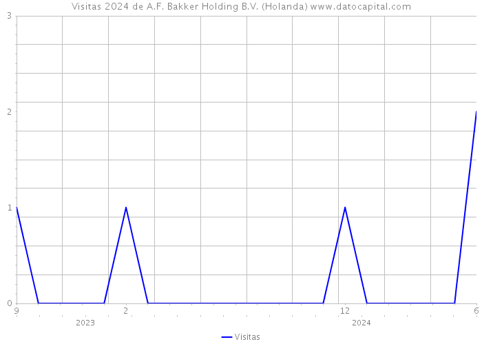 Visitas 2024 de A.F. Bakker Holding B.V. (Holanda) 