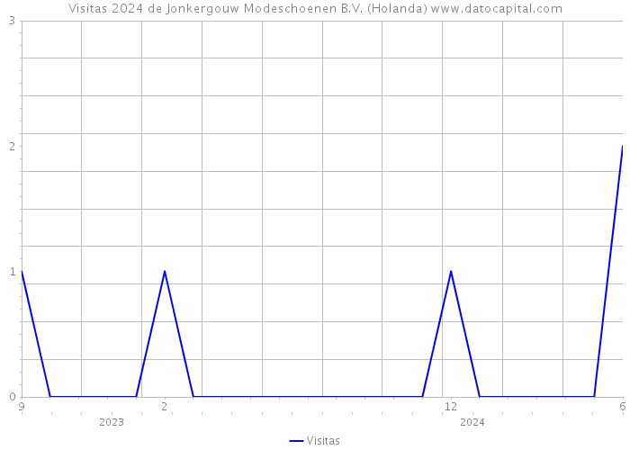 Visitas 2024 de Jonkergouw Modeschoenen B.V. (Holanda) 