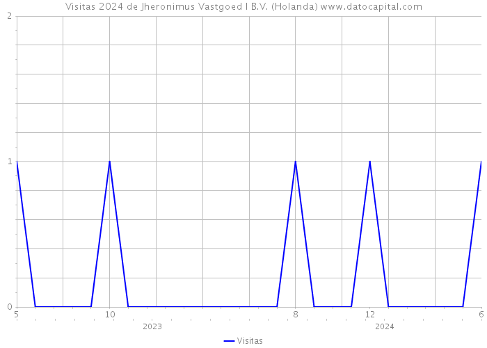 Visitas 2024 de Jheronimus Vastgoed I B.V. (Holanda) 