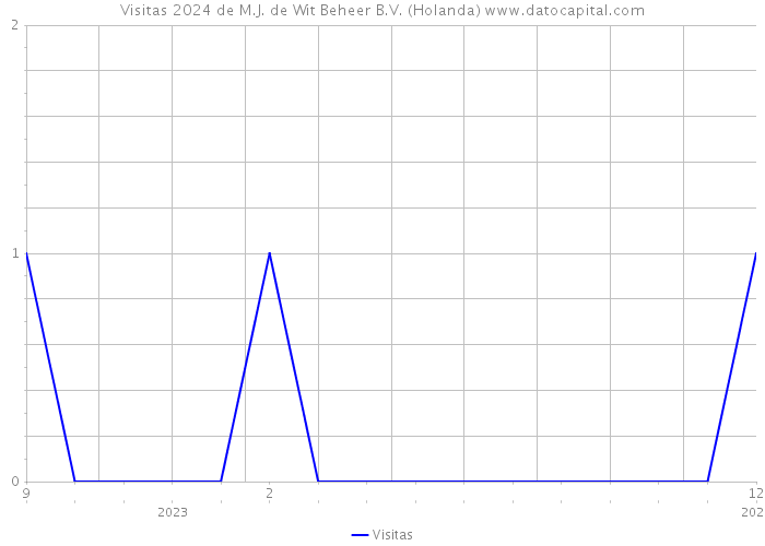 Visitas 2024 de M.J. de Wit Beheer B.V. (Holanda) 