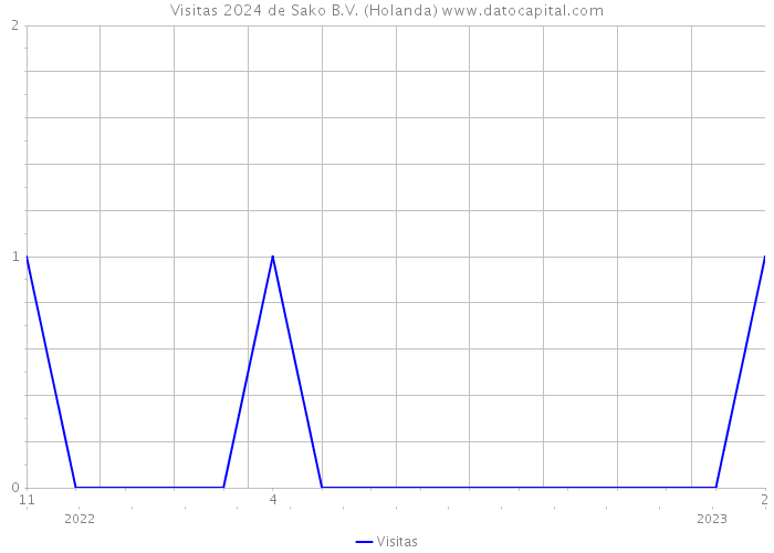 Visitas 2024 de Sako B.V. (Holanda) 