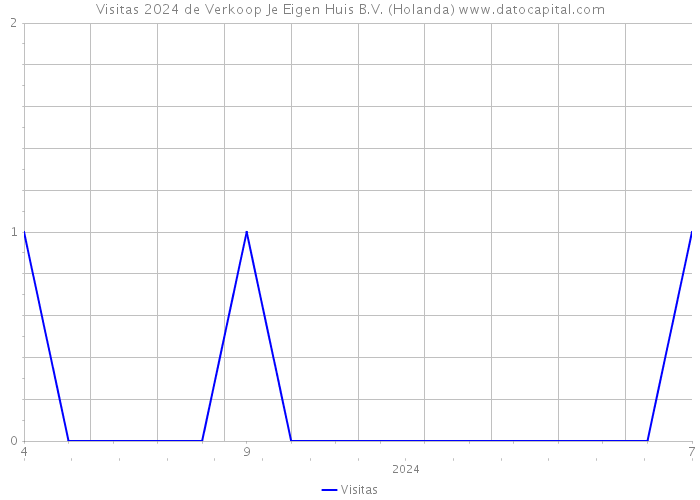 Visitas 2024 de Verkoop Je Eigen Huis B.V. (Holanda) 