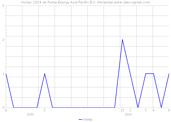 Visitas 2024 de Puma Energy Asia Pacific B.V. (Holanda) 