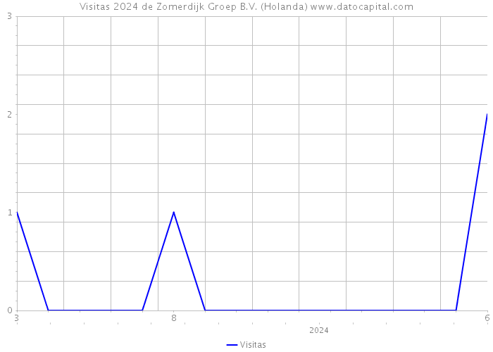 Visitas 2024 de Zomerdijk Groep B.V. (Holanda) 