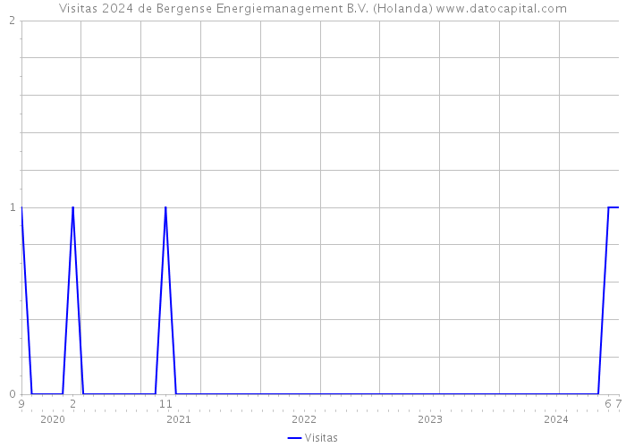 Visitas 2024 de Bergense Energiemanagement B.V. (Holanda) 
