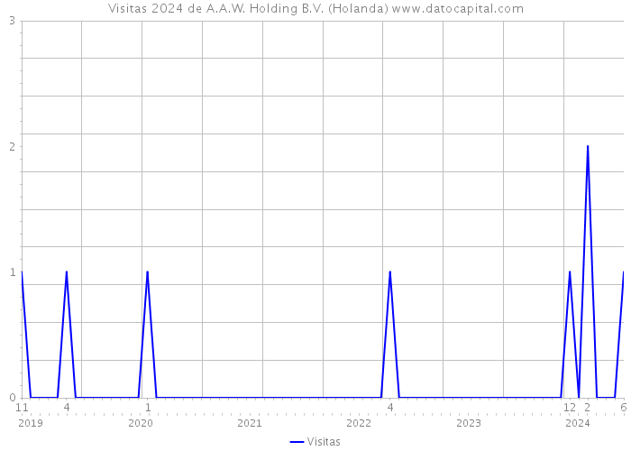 Visitas 2024 de A.A.W. Holding B.V. (Holanda) 