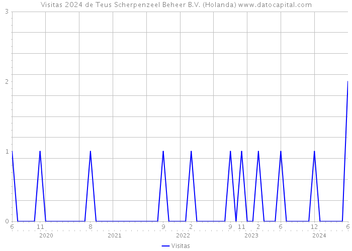 Visitas 2024 de Teus Scherpenzeel Beheer B.V. (Holanda) 