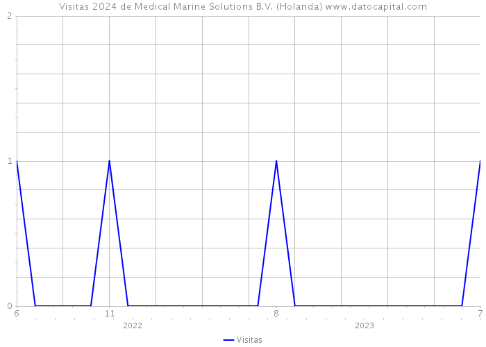 Visitas 2024 de Medical Marine Solutions B.V. (Holanda) 