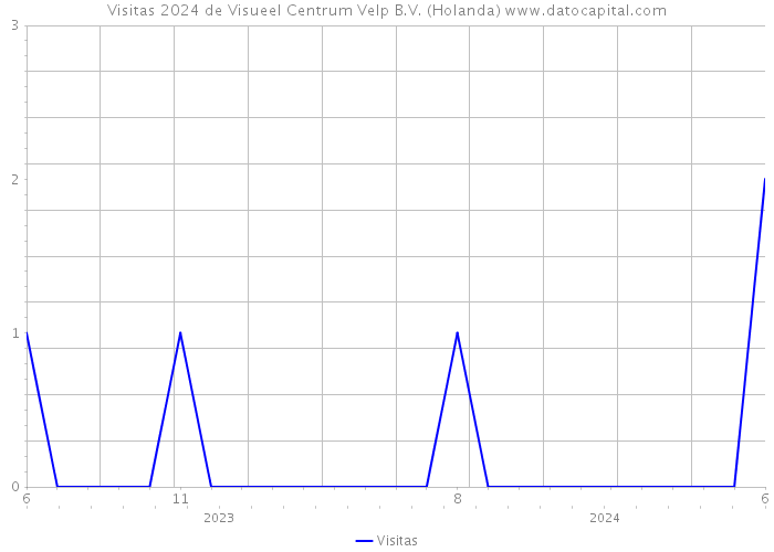 Visitas 2024 de Visueel Centrum Velp B.V. (Holanda) 