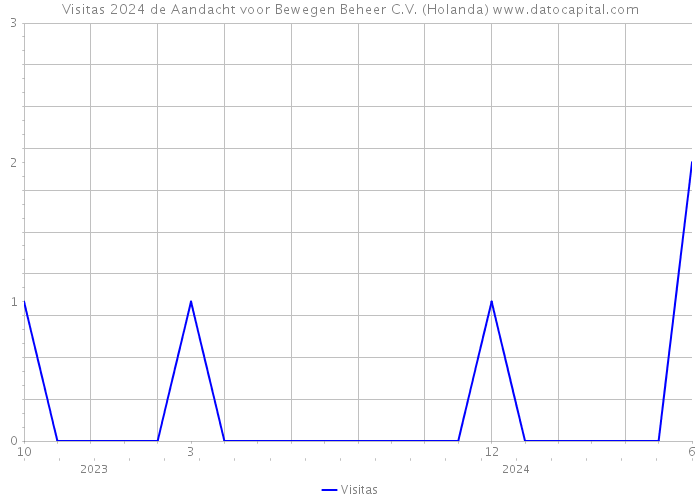 Visitas 2024 de Aandacht voor Bewegen Beheer C.V. (Holanda) 