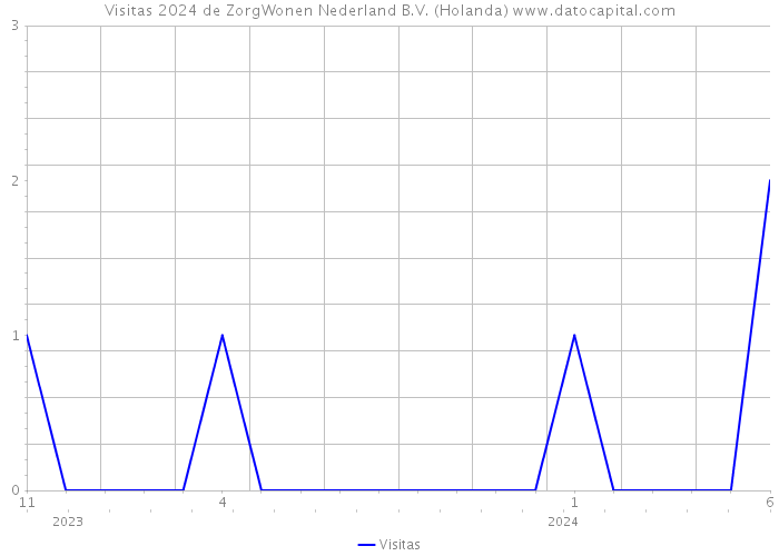Visitas 2024 de ZorgWonen Nederland B.V. (Holanda) 
