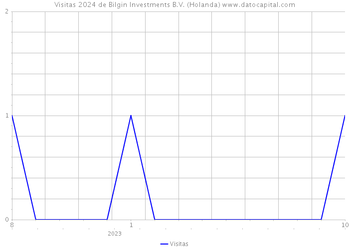Visitas 2024 de Bilgin Investments B.V. (Holanda) 