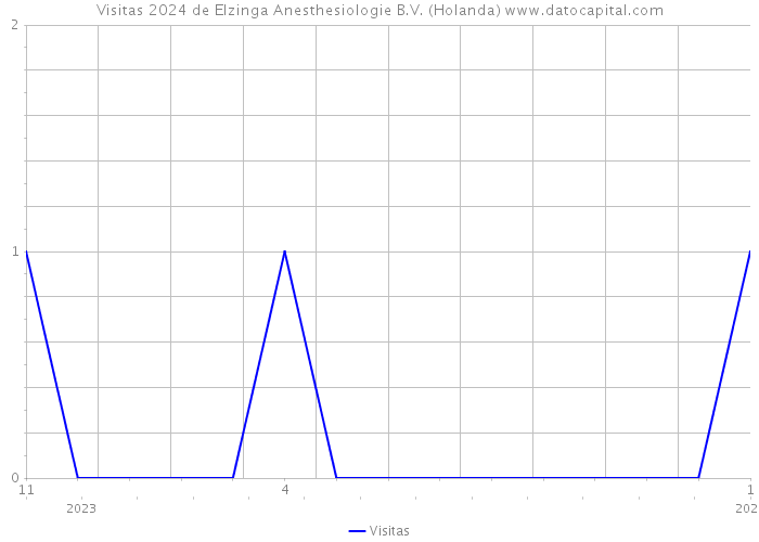 Visitas 2024 de Elzinga Anesthesiologie B.V. (Holanda) 