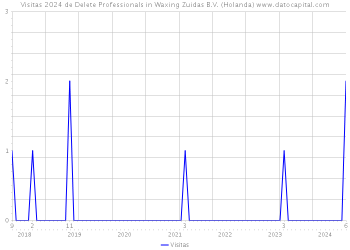 Visitas 2024 de Delete Professionals in Waxing Zuidas B.V. (Holanda) 