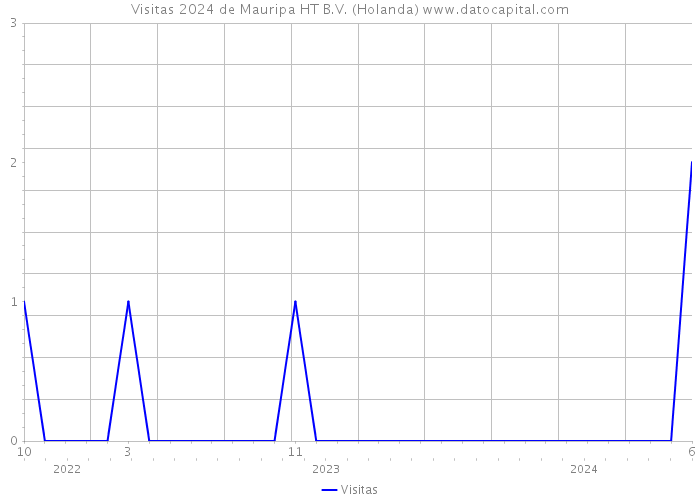 Visitas 2024 de Mauripa HT B.V. (Holanda) 