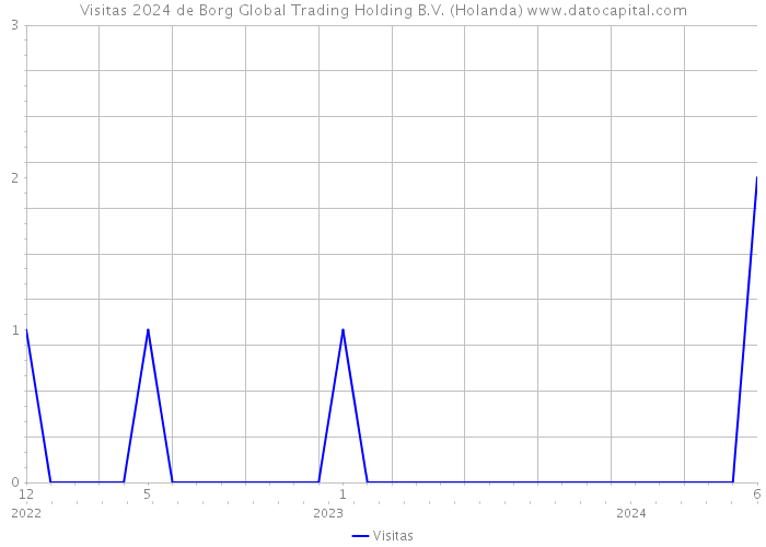Visitas 2024 de Borg Global Trading Holding B.V. (Holanda) 