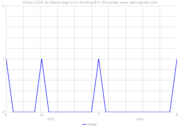 Visitas 2024 de Hamerslag-Loor Holding B.V. (Holanda) 