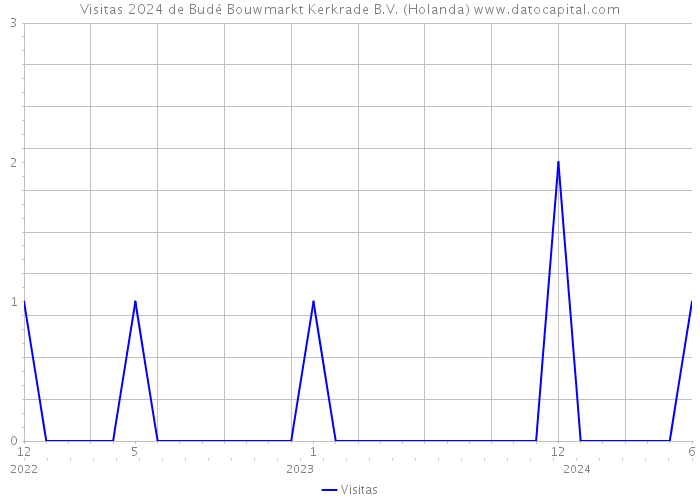 Visitas 2024 de Budé Bouwmarkt Kerkrade B.V. (Holanda) 