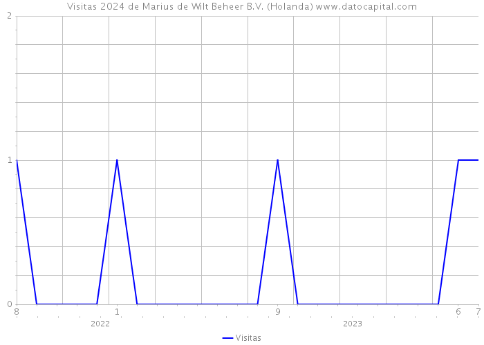 Visitas 2024 de Marius de Wilt Beheer B.V. (Holanda) 