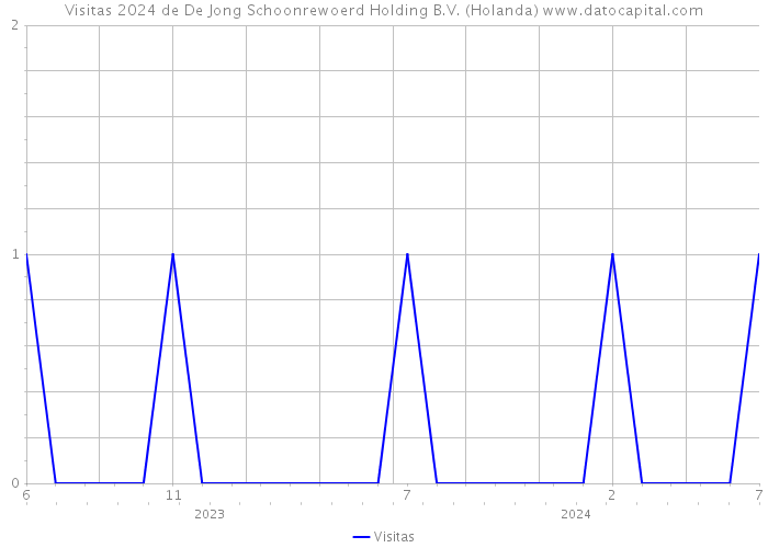 Visitas 2024 de De Jong Schoonrewoerd Holding B.V. (Holanda) 
