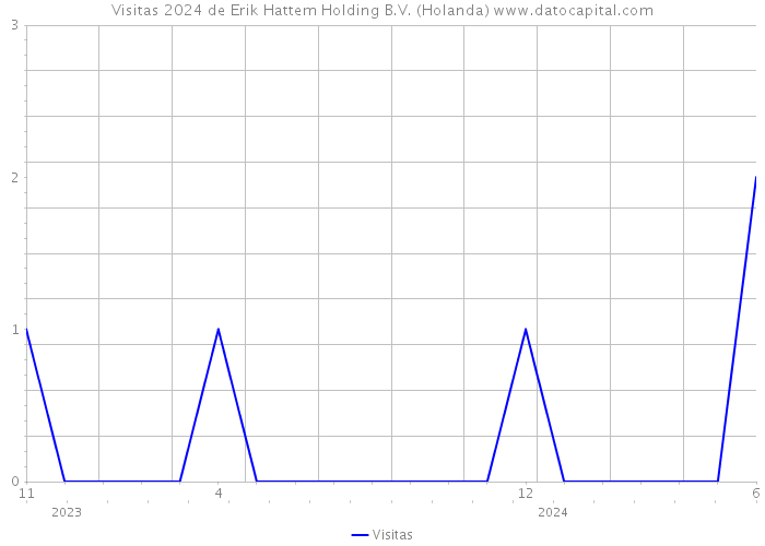 Visitas 2024 de Erik Hattem Holding B.V. (Holanda) 