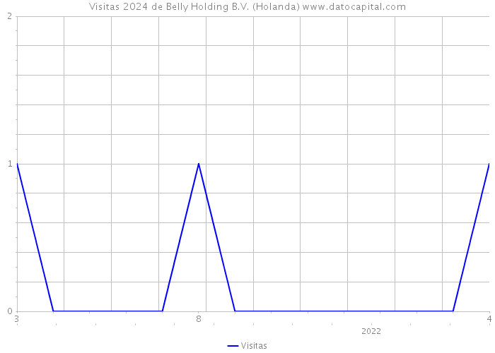 Visitas 2024 de Belly Holding B.V. (Holanda) 