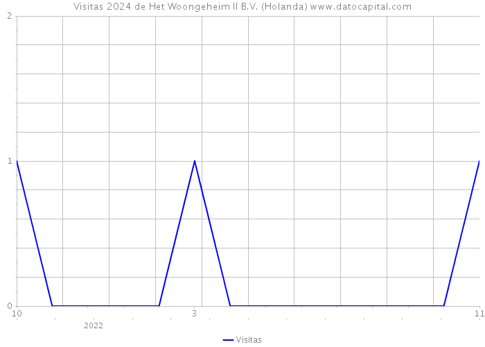 Visitas 2024 de Het Woongeheim II B.V. (Holanda) 