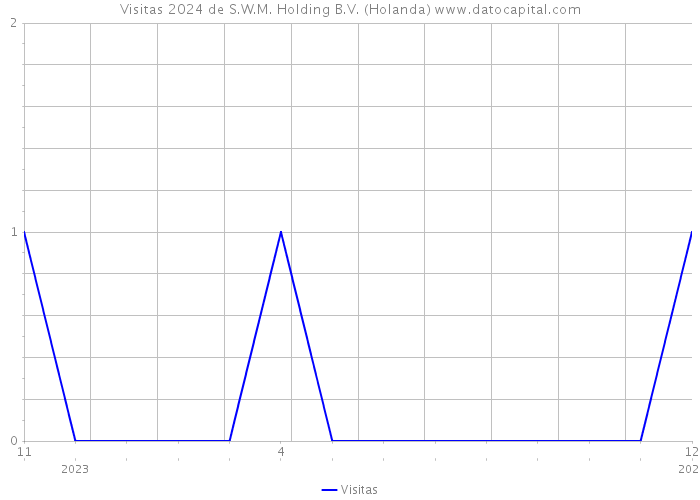 Visitas 2024 de S.W.M. Holding B.V. (Holanda) 