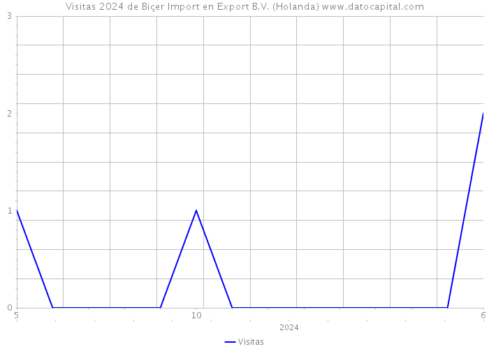 Visitas 2024 de Biçer Import en Export B.V. (Holanda) 