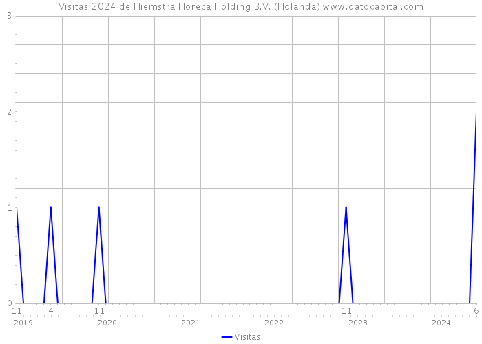 Visitas 2024 de Hiemstra Horeca Holding B.V. (Holanda) 