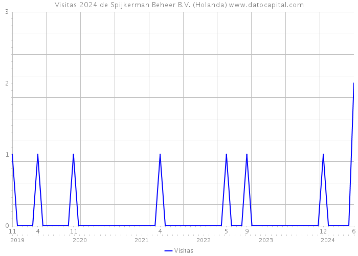 Visitas 2024 de Spijkerman Beheer B.V. (Holanda) 