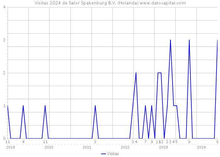 Visitas 2024 de Salor Spakenburg B.V. (Holanda) 