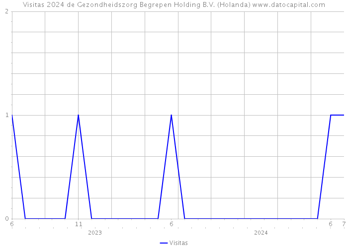 Visitas 2024 de Gezondheidszorg Begrepen Holding B.V. (Holanda) 