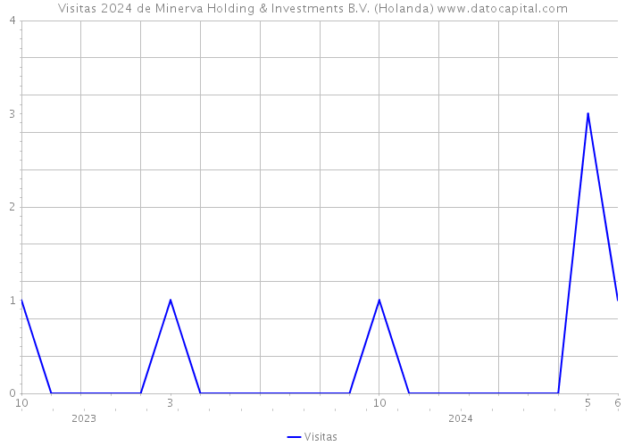 Visitas 2024 de Minerva Holding & Investments B.V. (Holanda) 