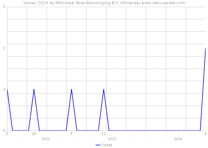 Visitas 2024 de Metselaar Brandbeveiliging B.V. (Holanda) 