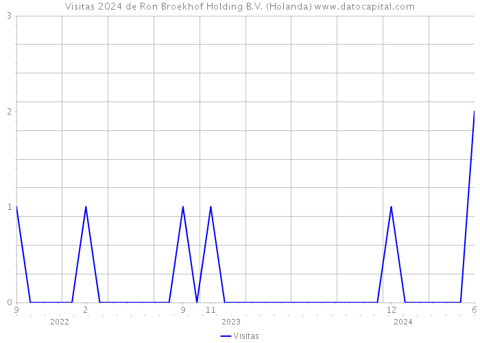 Visitas 2024 de Ron Broekhof Holding B.V. (Holanda) 