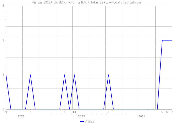 Visitas 2024 de BDR Holding B.V. (Holanda) 