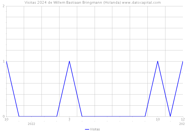 Visitas 2024 de Willem Bastiaan Bringmann (Holanda) 